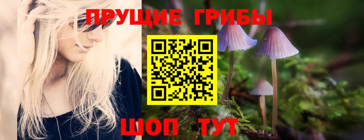Магнитогорск  Псилоцибиновые грибы Cubensis  Вход с VPN 